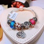Pandora Jewelry 1101