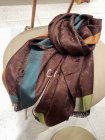 Louis Vuitton Scarves 191