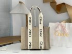 Chloe Original Quality Handbags 161