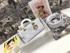 DIOR Original Quality Handbags 1037