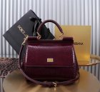 Dolce & Gabbana High Quality Handbags 610