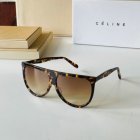 CELINE High Quality Sunglasses 343