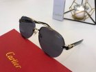Cartier High Quality Sunglasses 632