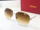 Cartier High Quality Sunglasses 491