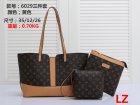Louis Vuitton Normal Quality Handbags 300