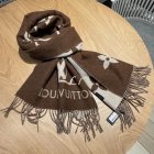 Louis Vuitton Scarves 100