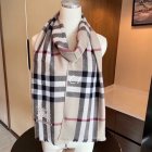 Burberry Scarves 386