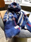 Burberry Scarves 311