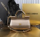 Dolce & Gabbana High Quality Handbags 559