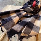 Burberry Scarves 403