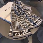 DIOR Scarves 47