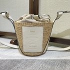 Chloe Original Quality Handbags 313