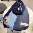 Burberry Scarves 141