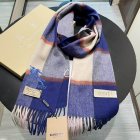 Burberry Scarves 379