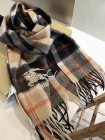 Burberry Scarves 181
