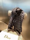 DIOR Scarves 39