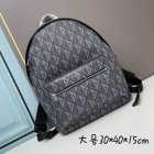 DIOR High Quality Handbags 451