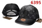 Louis Vuitton Normal Quality Hats 43