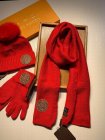 Louis Vuitton Hat & Scarve Set 39