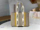 Chloe Original Quality Handbags 147