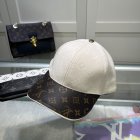 Louis Vuitton High Quality Hats 426