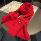 DIOR Scarves 32