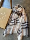 Burberry Scarves 307