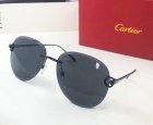 Cartier High Quality Sunglasses 495