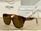 CELINE High Quality Sunglasses 322