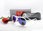 Ray-Ban Normal Quality Sunglasses 105