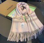 Burberry Scarves 43
