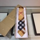 Burberry Ties 01