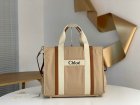 Chloe Original Quality Handbags 293