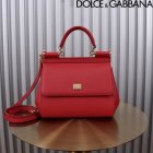 Dolce & Gabbana High Quality Handbags 667