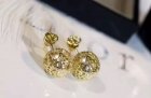 Dior Jewelry Earrings 228