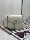 DIOR High Quality Handbags 13