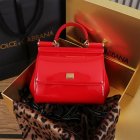 Dolce & Gabbana High Quality Handbags 629