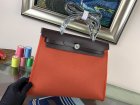 Hermes Original Quality Handbags 579