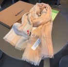 Burberry Scarves 325