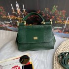 Dolce & Gabbana High Quality Handbags 293