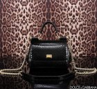 Dolce & Gabbana Original Quality Handbags 104