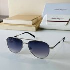 Salvatore Ferragamo High Quality Sunglasses 300