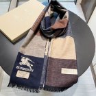 Burberry Scarves 380