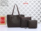 Louis Vuitton Normal Quality Handbags 897