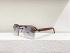 Cartier High Quality Sunglasses 448