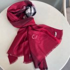 Burberry Scarves 288