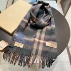 Burberry Scarves 376