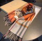 Burberry Scarves 184