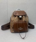 Coach High Quality Handbags 111