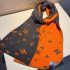 Hermes Scarves 10